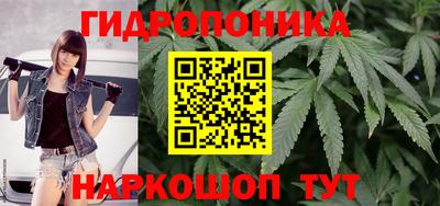 ешки Можга