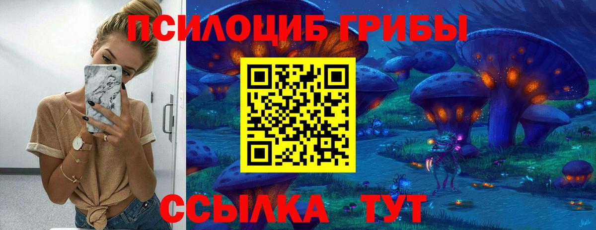 Галлюциногенные грибы MAGIC MUSHROOMS  Вход с VPN  Тосно 